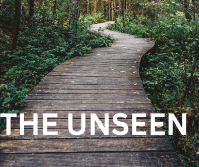 seeing-the-unseen